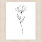 Minimalist Flower White