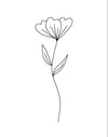 Minimalist Flower White