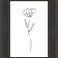 Minimalist Flower White