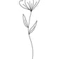 Minimalist Flower White