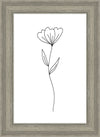 Minimalist Flower White