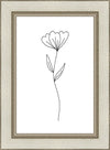 Minimalist Flower White