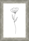 Minimalist Flower White