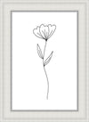 Minimalist Flower White