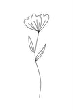 Minimalist Flower White