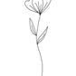 Minimalist Flower White