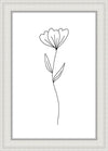 Minimalist Flower White