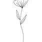 Minimalist Flower White