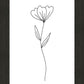 Minimalist Flower White