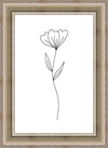 Minimalist Flower White