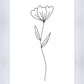 Minimalist Flower White