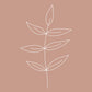 Minimalist Leaves Pink