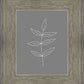 Minimalist Leaves Gray
