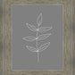 Minimalist Leaves Gray