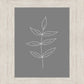 Minimalist Leaves Gray