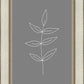 Minimalist Leaves Gray