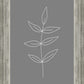 Minimalist Leaves Gray