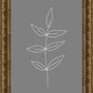 Minimalist Leaves Gray