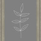 Minimalist Leaves Gray