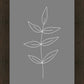 Minimalist Leaves Gray
