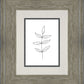 Minimalist Leaves White