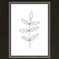 Minimalist Leaves White
