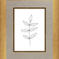Minimalist Leaves White