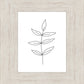 Minimalist Leaves White