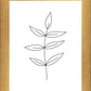 Minimalist Leaves White