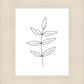 Minimalist Leaves White