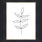 Minimalist Leaves White