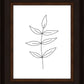 Minimalist Leaves White