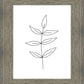 Minimalist Leaves White