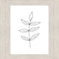 Minimalist Leaves White