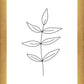 Minimalist Leaves White