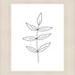 Minimalist Leaves White