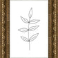 Minimalist Leaves White