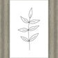 Minimalist Leaves White
