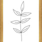 Minimalist Leaves White