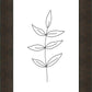 Minimalist Leaves White
