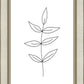 Minimalist Leaves White