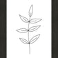 Minimalist Leaves White