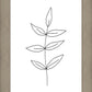 Minimalist Leaves White