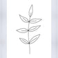 Minimalist Leaves White