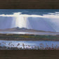 Antelope Island