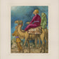 Seek Him - The Magi