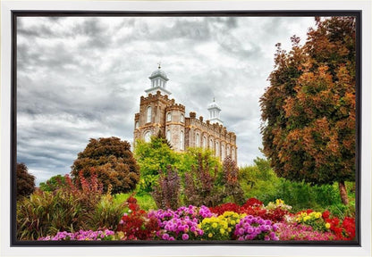 Logan Winter is Coming Gallery Wrap