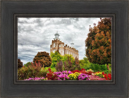 Logan Winter is Coming