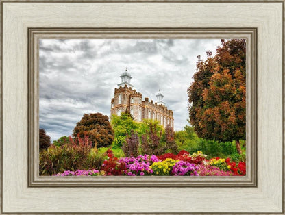 Logan Winter is Coming