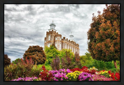 Logan Winter is Coming Gallery Wrap